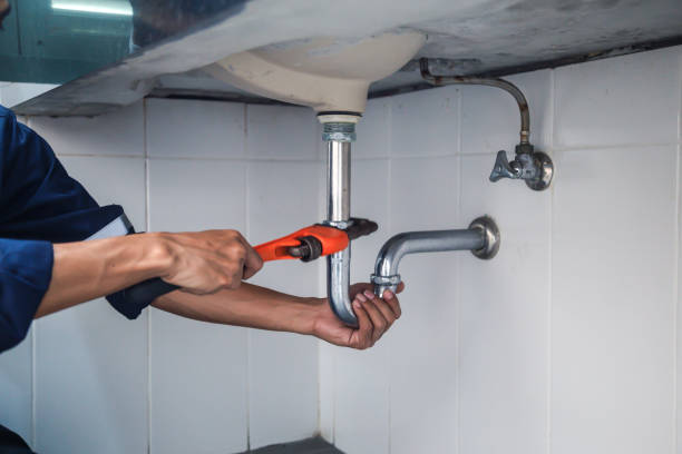 Best Plumbing Inspection Services  in , MI