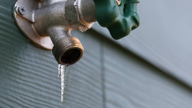 Best Emergency Plumber  in , MI